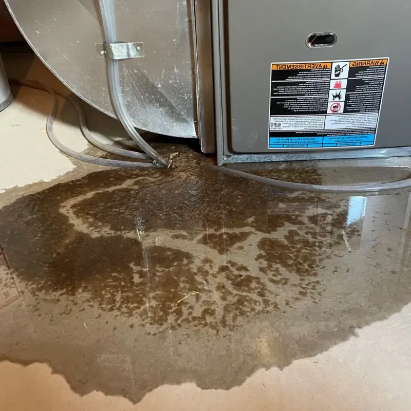 Pipe Burst and Leak Restoration in Brimfield, MA